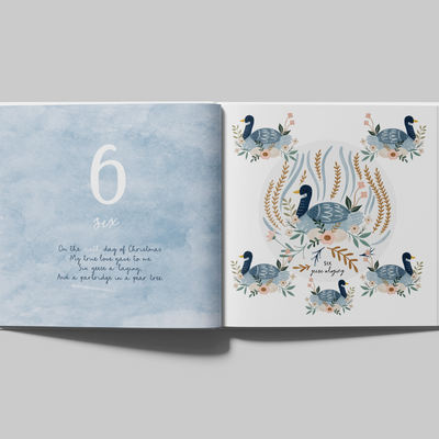 12 Days of Christmas Counting Book | Number Book